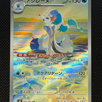 (A)085/081 누리레느 AR