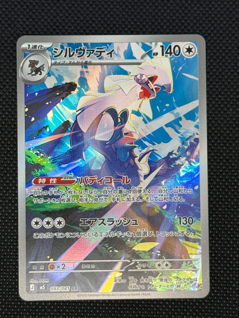 (A)093/081 실버디 AR