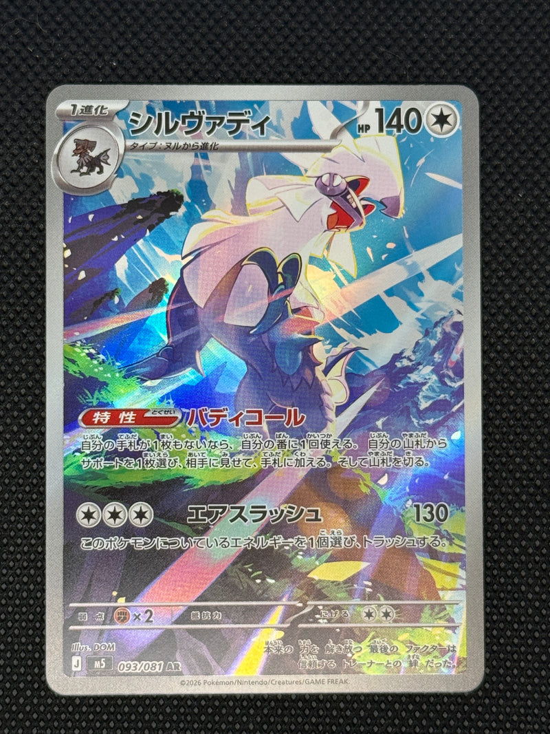 (A)093/081 실버디 AR