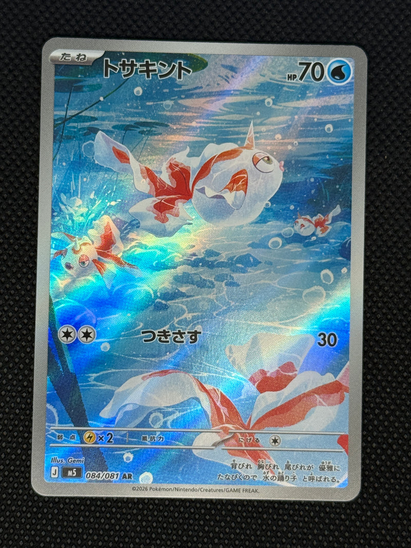 (A)084/081 콘치 AR