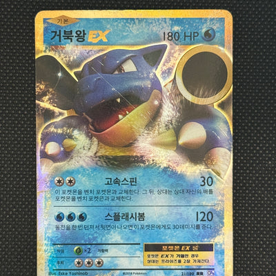 (C)21/100 거북왕 RR