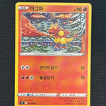 (A)016/100 마그마 c