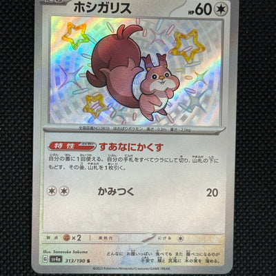 (A)313/190 탐리스 s