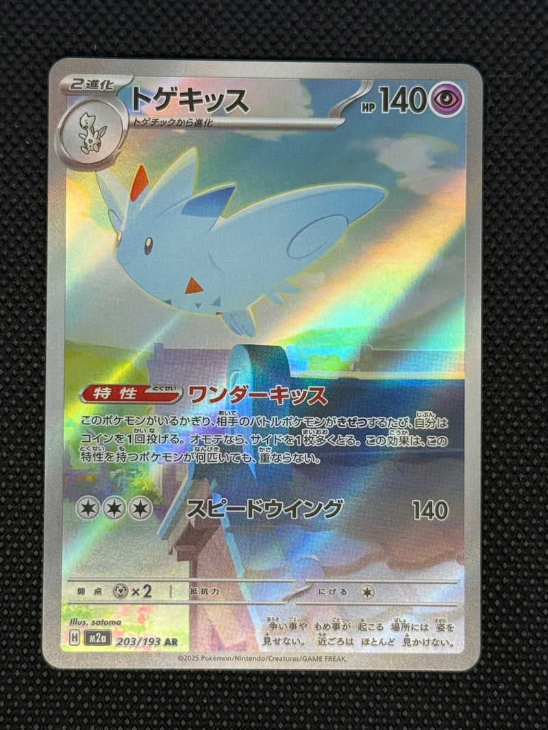 (A)203/193 토게키스 AR