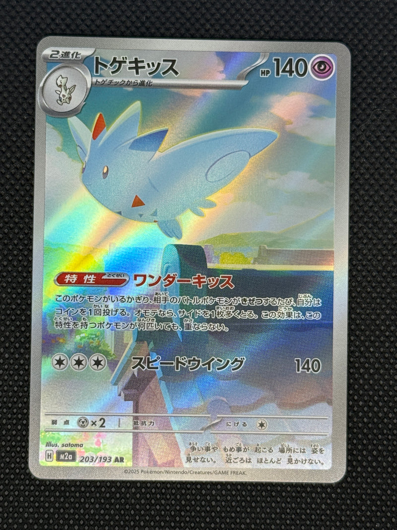 (A)203/193 토게키스 AR