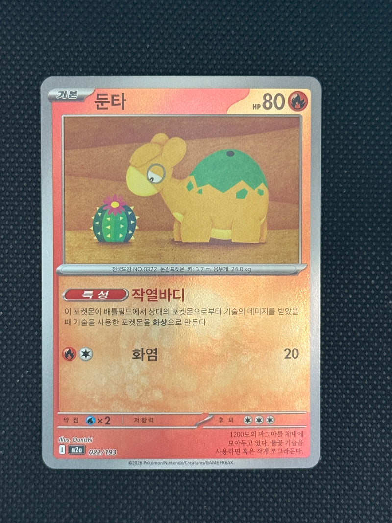 (A)022/193 둔타 홀로