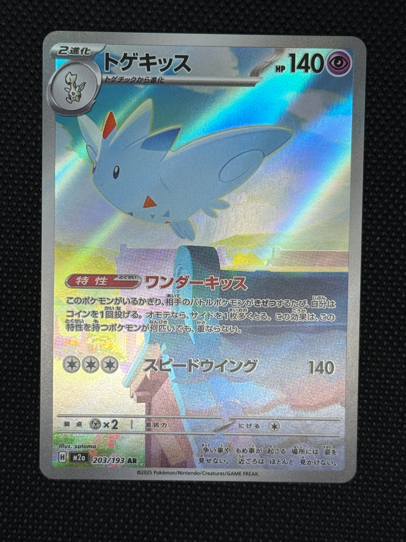 (A)203/193 토게키스 AR