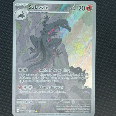 (A)224/217 엄뉴트 AR