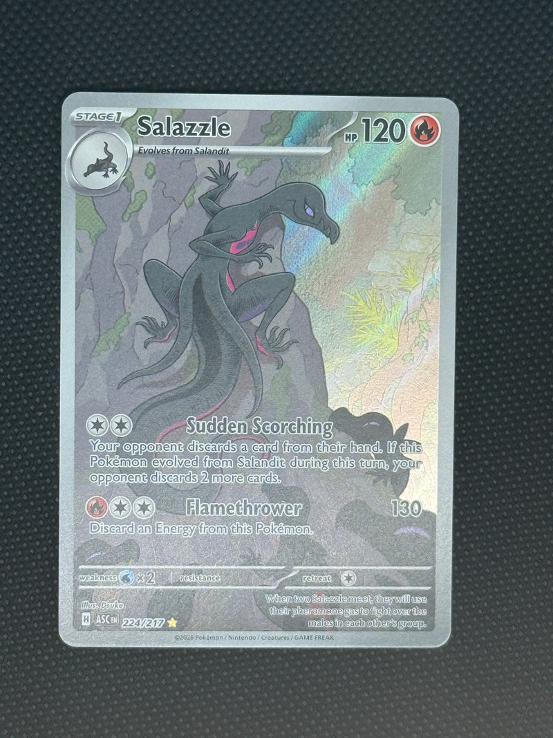 (A)224/217 엄뉴트 AR