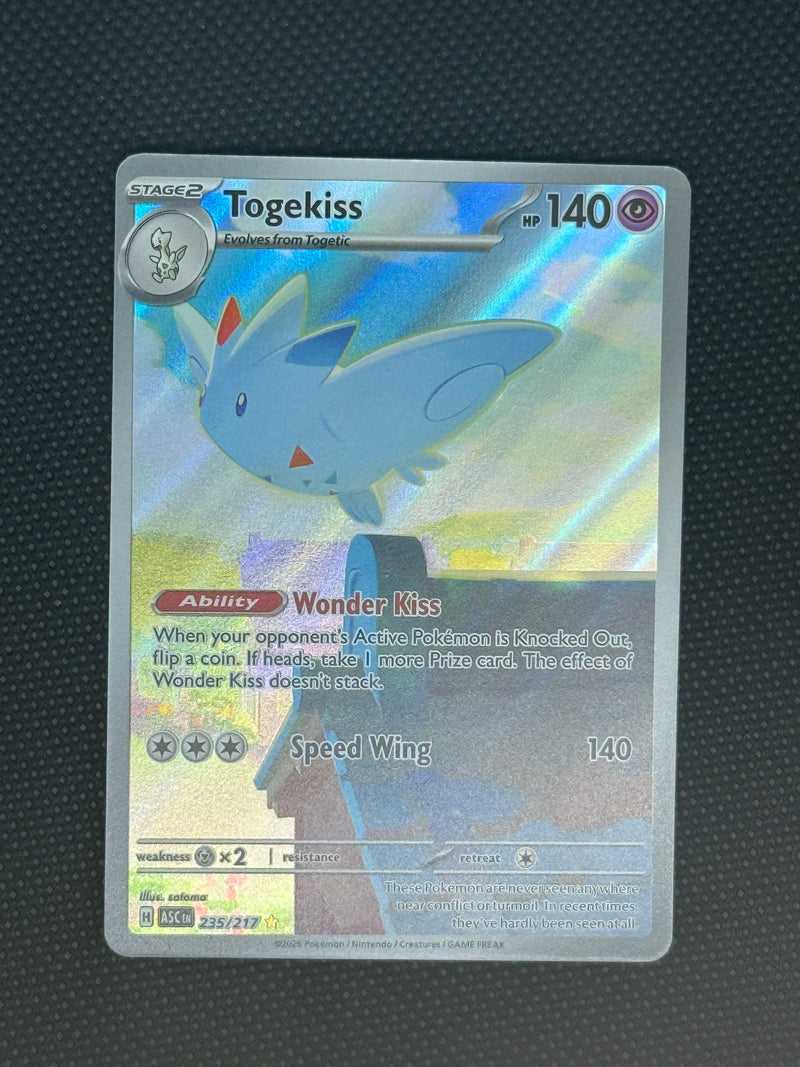 (A)235/217 토게키스 AR